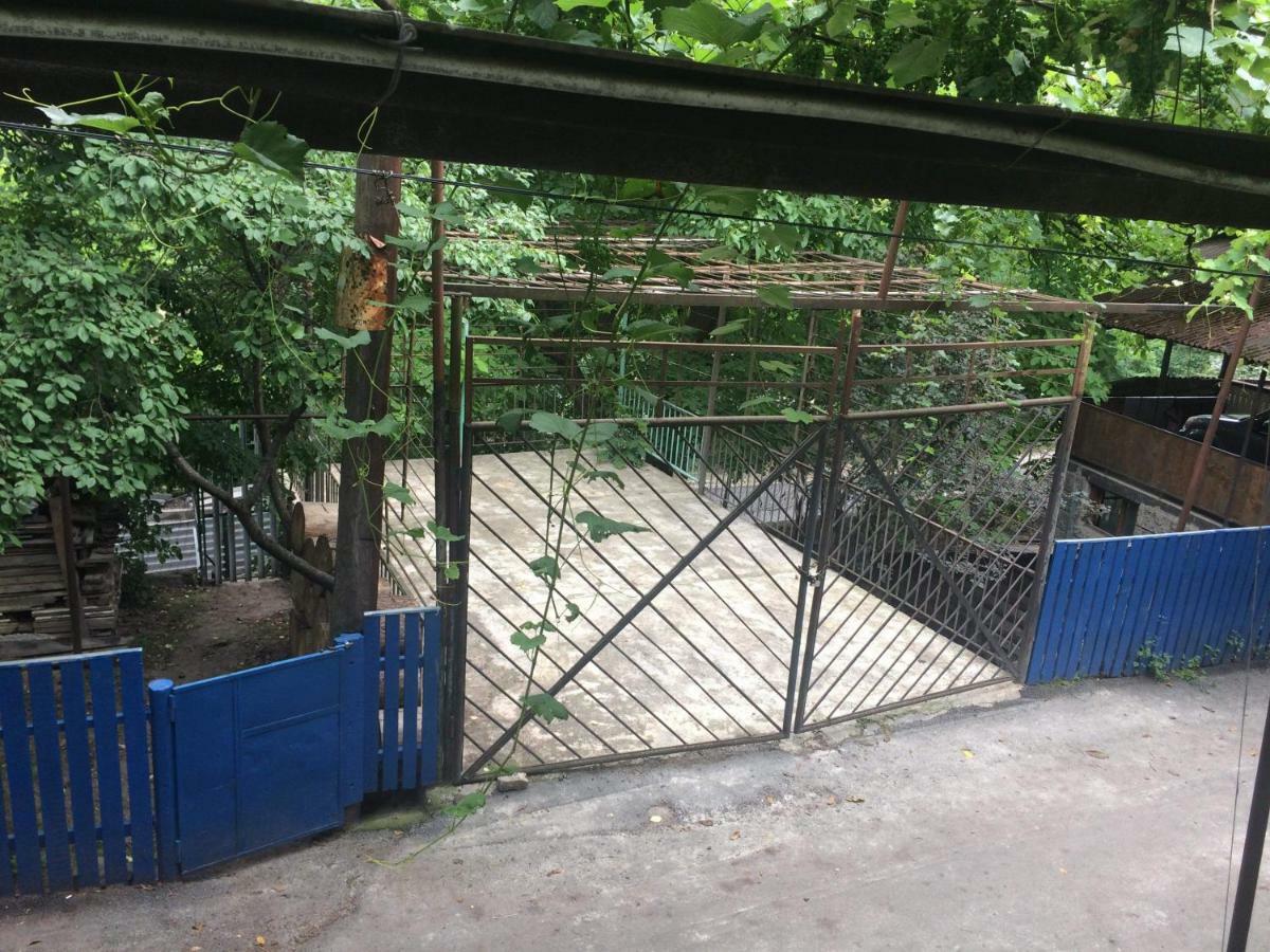 Guesthouse Malkhazi 博尔若米 外观 照片
